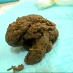 STD-404 ウンチ買取堂2 アナタのうんち100g1000円で売って下さい Pregnant Women 西園あみ 妊婦