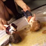 CRZ-217 美少女排泄 塗糞人形 そっくりさん 亜由美 プールクラブ・エンタテインメント Scat