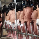 AVOP-169 ザーメンターミネーター かすみ果穂 お姉さん 痴女 巨乳 Sister AV OPEN Anal Slut