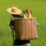 FAX-482 レイプ 性犯罪ポルノ FAX-482 凌辱 FA映像出版プロダクト