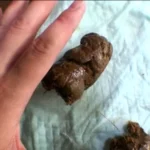 ODV-285 田舎の快便女子大生 地味だけど可愛い激臭艶々うんち日記 Defecation 大塚フロッピー Amateur 女子学生