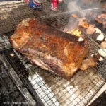 OPUD-175 BBQ仮設トイレ盗撮 肉食女子の極太脱糞! OPERA（オペラ） スカトロ