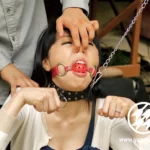 YAG-110 転落貴婦人凌辱PARTY 雨宮真貴 露出 騎乗位 Torture 輪姦・凌辱 Cowgirl 125分 Acme 野外露出 OL Maki Amemiya