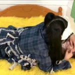 HFCM-009 heavy fetish ゴシック○○ータ女王様M男調教 ケラ工房 SM Costume コスチューム