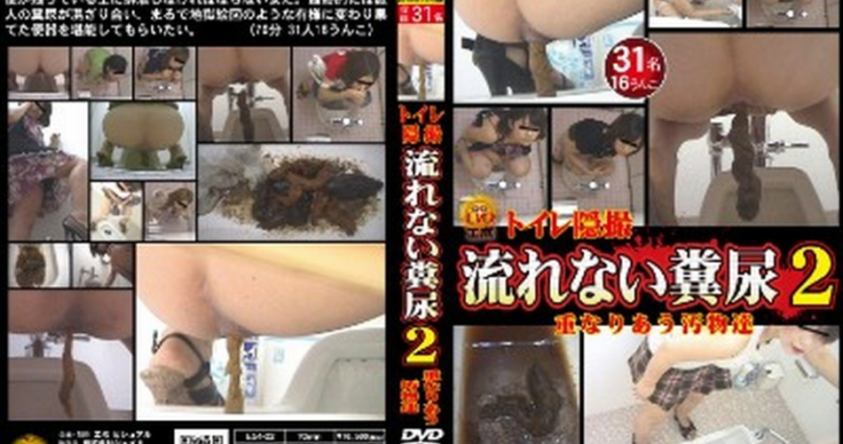 E54-02 トイレ隠撮 流れない糞尿 重なりあう汚物達 2 Defecation Voyeur Toilet 投稿