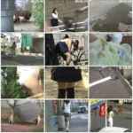 E31-02 覗撮 お漏らし失態 野糞 野尿 2 盗撮 その他盗撮 Golden Showers スカトロ 投稿