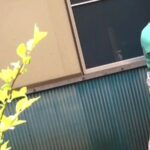 SCR-057 ○学生連れ出し野外性器露出SEX映像 スカトロ スレンダー ささき愛沙 イラマ 微乳 Slender 中出し 青姦