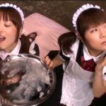 DDT-350 3Dスペレズ Semen Fuka Nanasaki 3D Work Anrin aka フェラ・手コキ