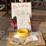 LOVE-231 現役地下アイドルさくらみみCD売上ノルマ達成ならず … コスプレ その他