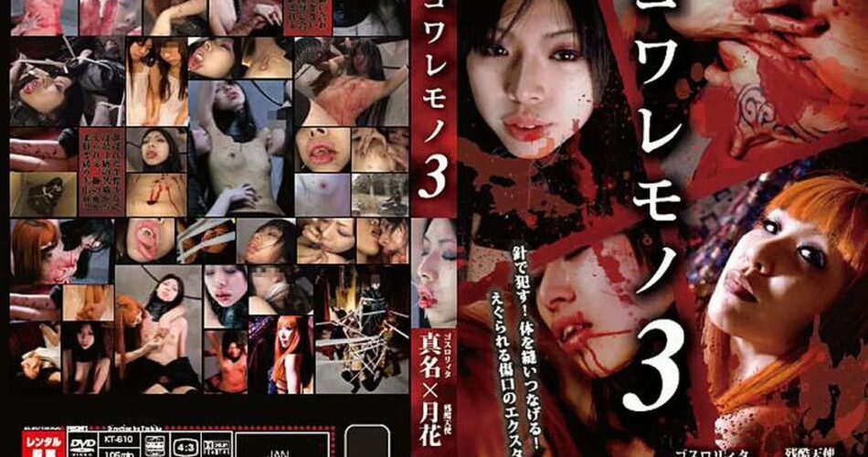 KT-610 コワレモノ 3 縛り SM Other Lesbian