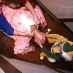 TK-010 人妻沿線 ぶらり旅 横浜元町Extreme おばさん