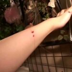 TK-012 高橋浩一の人妻巡り旅 その弐 不倫 メディアバンク Aunt