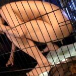 NHDT-717 塗り糞地獄 Scat Mimura Kana Golden Showers Vomiting その他女子校生 放尿 飲尿