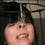 CMC-041 CineMagic DVD ベスト30 5 円城ひとみ 真野沙代 篠原ケイ Erena Kurosawa Sakura Aragaki 白河ゆりか Chihiro Asai Ayane Aino 前野美伽 葵みちる