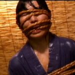 CMC-041 CineMagic DVD ベスト30 5 円城ひとみ 真野沙代 篠原ケイ Erena Kurosawa Sakura Aragaki 白河ゆりか Chihiro Asai Ayane Aino 前野美伽 葵みちる