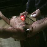 AXDVD-0144r ボンデージスレーブスクールガールズ異常教師の性別体罰 Miura Rumi Shibata Midori Aoyama Kana