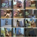 PMV-06 街の素人女子に虐めてもらいました 0 美形女子大生二人組編 Amateur 101分 その他痴女