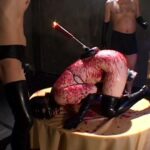 ADV-SR0006 倒錯図鑑マニアック 美月桜 Mami Shindo 夜桜すもも 杉浦あや 椎名るみ 藤森エレナ 可愛ラム Shindou Mami Fujimori Erena Natsume Shion