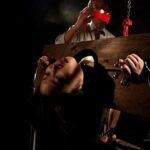 ADV-SR0006 倒錯図鑑マニアック 美月桜 Mami Shindo 夜桜すもも 杉浦あや 椎名るみ 藤森エレナ 可愛ラム Shindou Mami Fujimori Erena Natsume Shion