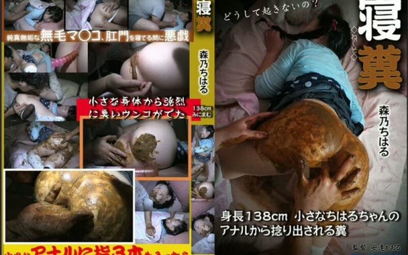 VRNET-013 Scatting Sleep Feces Chiharu 最小スリーピング
