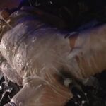 CMF-036 囚われの牝豹 哀憐ゴシップ痴肉炎上 葵紫穂 浣腸 ドリル ボンテージ SM Aoi Shiho