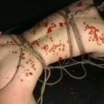 GTJ-039 縄に寝取られた妻 佐伯かのん 縛り Neto