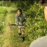 FAX-373 男の性欲を刺激する レイプ・レイプ・レイプ大全集 横山翔子 監禁 愛乃彩音 Captivity Rape Yuuki Rina, Yokoyama Syouko, Matsushita Yuuka