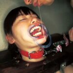 STAR-1082 浣腸飲尿 変態少女肉便器 4 Vomiting Golden Showers Scat Lolita