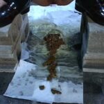 JHGD-001 淑女 Amateur 90分 Scatting