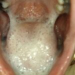 JS-048 Kanno Shizuka 小学0年生&小学0年生 リバイバルミックス版 Kohaku Uta エンプロ ジュニアアイドル Honma Yuri