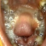 JS-048 Kanno Shizuka 小学0年生&小学0年生 リバイバルミックス版 Kohaku Uta エンプロ ジュニアアイドル Honma Yuri