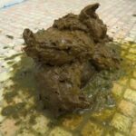 AH-006 友達前で恥らいうんち 64分 Defecation