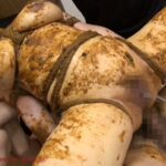 OPUD-205 糞豚臭恥 肛門を弄られて激臭大便してしまった団地妻 120分 おばさん スカトロ