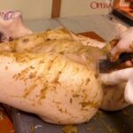 OPUD-222 美人女将 お座敷スカトロ姦 葵紫穂 Aoi Shiho 凌辱 調教 Scatting Golden Showers