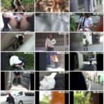 PM-113 盗撮！！ 野グソ野ション 9 女子高生編 Other Voyeur 脱糞 その他女子校生 その他盗撮