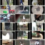 PM-113 盗撮！！ 野グソ野ション 9 女子高生編 Other Voyeur 脱糞 その他女子校生 その他盗撮