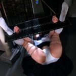 ADVO-126 Sakura Fujiko, Mizushima Shizuku ネット不倫の罠 Adultery 桜ふじ子 人妻制服 人妻・熟女