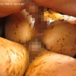 OPUD-251 Ayuhara Itsuki 大便拷問研究所 Actress 180分