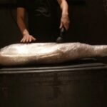 GVG-539 Minami Riona 完全拘束イラマチオ 5 GLORYQUEST 125分