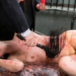 VICD-353 Nishita Karina 女捜査官 引き裂きアナル拷姦 Nos e Hook SM 女優