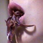 VRXM-009 エログロドキュメント ウンゲロミミズ ウンゲロミミズ… 嘔吐 Scat 井口昇 Ｖ＆Ｒプランニング