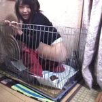 PSD-909 Yuuki Rina, Yanagida Yayoi ベッピン女の大量便 ウンチの女神様101人 Defecation PISS