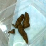 PSD-916 素人うんこだらけSP まさかの100名大脱糞 伝説に残るうんこ過ぎるうんこな特別作品 Scat Omnibus 480分 8時間以上作品 レイディックス