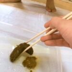 TAN-405 素人うんこだらけ 5 激盛り！ Scat 178分 Amateur