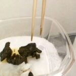 TAN-405 素人うんこだらけ 5 激盛り！ Scat 178分 Amateur