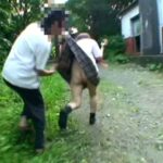 IBW-156 Takarabe Yuki 少女孕ませ野外レイプ I．B．WORKS