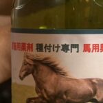 BOKD-123 Tachibana Serina 馬用興奮剤を飲まされてカウパー垂れ流すニューハーフ … 中出し アナル Transsexual