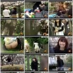E2-11 覗撮 春！！ 野糞野尿 花見にて Other Scat フェチ Voyeur エボ・ビジュアル
