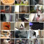 EE-060 ジェイド 盗撮 民家内仰天排泄 ～便所で用を足さない女たち～ Voyeur