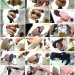 EE-206 ジェイド 2017EVO うんこのすべて ～今年のうんこ全部入り～ Defecation Omnibus